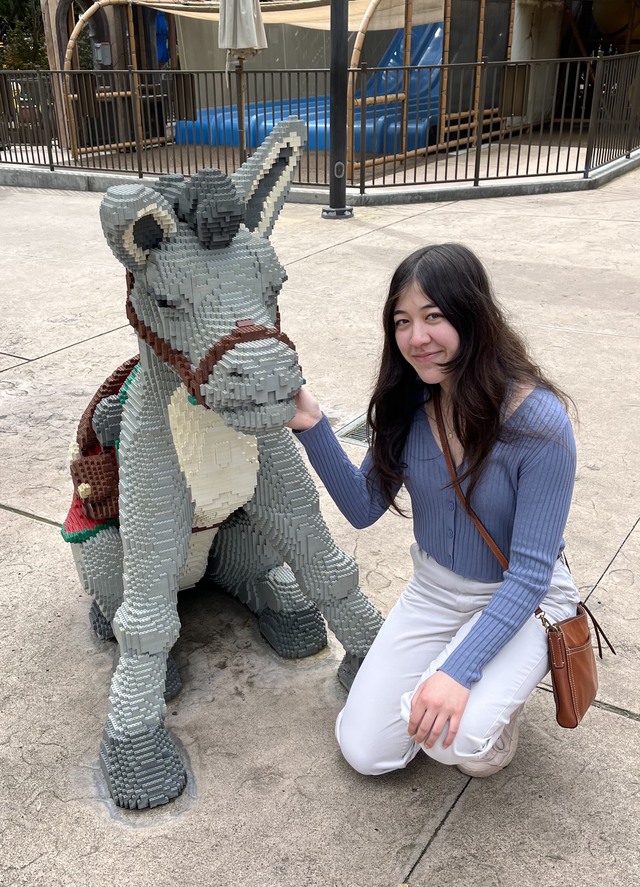 A picture of Sheridan next to a donkey at Legoland (a Lego donkey).